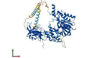 Protein Structure (PS) image for UDP-N-Acetyl-alpha-D-Galactosamine:polypeptide N-Acetylgalactosaminyltransferase 18 (GALNT18) (AA 1-622) protein (His tag) (ABIN7559467)