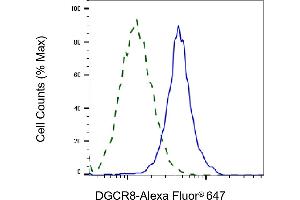 Validation of DGCR8 knockdown using flow cytometry.