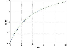 Lemur Tyrosine Kinase 3 (LMTK3) ELISA Kit