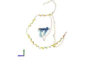 AlphaFold protein structure predicition of Mouse Recombinant Sfr1 Protein, UniprotID Q8BP27