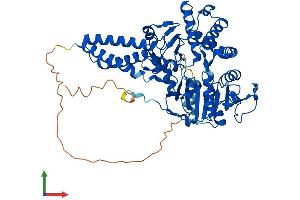 AlphaFold protein structure predicition of Human Recombinant NT5DC3 Protein, UniprotID Q86UY8 (NT5DC3 Protein (AA 1-548) (His tag))