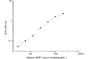 NXF1 ELISA Kit