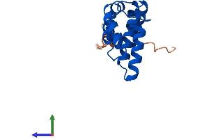 AlphaFold protein structure predicition of Human Recombinant RGS21 Protein, UniprotID Q2M5E4 (RGS21 Protein (AA 1-152) (His tag))