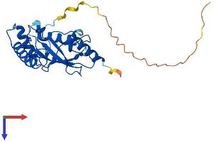 CDC34 Protein (AA 1-236) (His tag)