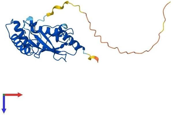 CDC34 Protein (AA 1-236) (His tag)