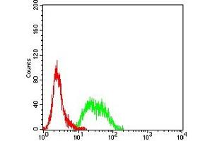 Flow cytometric analysis of Hela cells using MSH6 mouse mAb (green) and negative control (red). (MSH6 antibody  (AA 217-395))