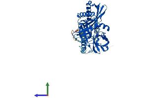Protein Structure (PS) image for Transmembrane Protease, serine 11B (TMPRSS11B) (AA 1-416) protein (His tag) (ABIN7544514)