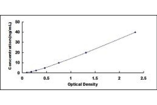 IGF2R ELISA Kit