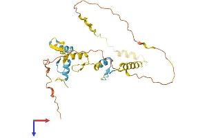 AlphaFold protein structure predicition of Human Recombinant SNAI1 Protein, UniprotID O95863 (SNAIL Protein (SNAI1) (AA 1-264) (His tag))