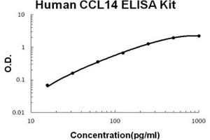 Human CCL14/HCC-1 PicoKine ELISA Kit standard curve (CCL14 ELISA Kit)