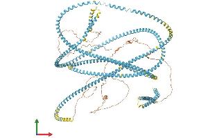 AlphaFold protein structure predicition of Human Recombinant SFI1 Protein, UniprotID A8K8P3 (SFI1 Protein (AA 1-1242) (His tag))