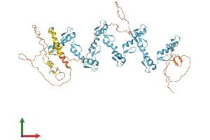 AlphaFold protein structure predicition of Human Recombinant ZNF283 Protein, UniprotID Q8N7M2 (ZNF283 Protein (AA 1-679) (His tag))