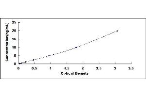 Typical standard curve (FLT1 ELISA Kit)