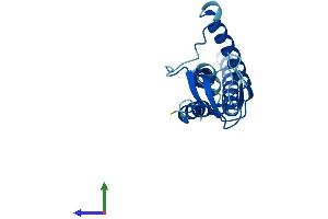 AlphaFold protein structure predicition of Human Recombinant GINS1 Protein, UniprotID Q14691
