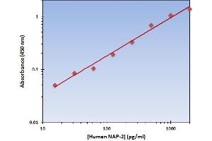 Pro-Platelet Basic Protein (Chemokine (C-X-C Motif) Ligand 7) (PPBP) ELISA Kit