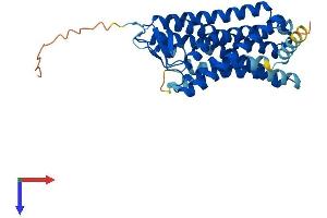 AlphaFold protein structure predicition of Human Recombinant OR2D3 Protein, UniprotID Q8NGH3 (OR2D3 Protein (AA 1-330) (His tag))