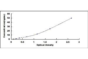 Typical standard curve (OAS2 ELISA Kit)