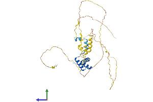 AlphaFold protein structure predicition of Human Recombinant VSX1 Protein, UniprotID Q9NZR4