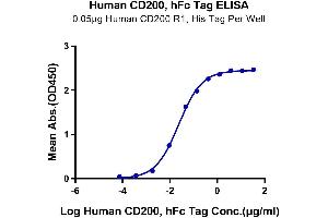 CD200 (CD200) (AA 31-232) protein (Fc Tag)
