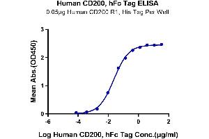 Immobilized Human CD200 R1, His Tag at 0. (CD200 Protein (CD200) (AA 31-232) (Fc Tag))