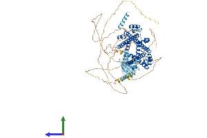 Protein Structure (PS) image for PRP40 Pre-mRNA Processing Factor 40B (PRPF40B) (AA 1-871) protein (His tag) (ABIN7550937)