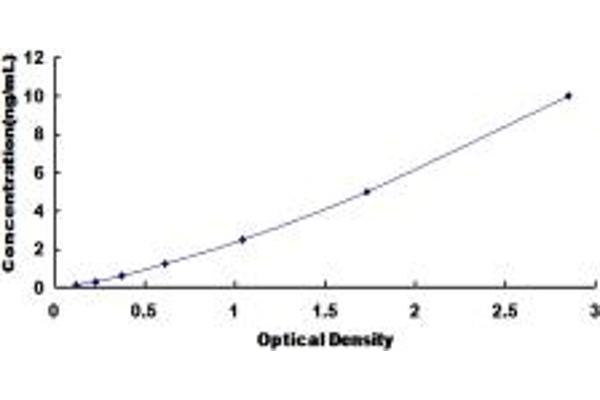 HSPB6 ELISA Kit