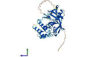 AlphaFold protein structure predicition of Human Recombinant GIPC2 Protein, UniprotID Q8TF65