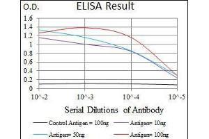 Black line: Control Antigen (100 ng), Purple line: Antigen(10 ng), Blue line: Antigen (50 ng), Red line: Antigen (100 ng), (Surfactant Protein C antibody  (AA 60-180))
