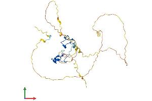 AlphaFold protein structure predicition of Mouse Recombinant Zfp36l1 Protein, UniprotID P23950