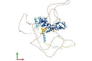 Protein Structure (PS) image for Nibrin (NBN) (AA 1-751) protein (His tag) (ABIN7565197)