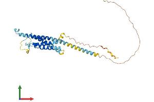 AlphaFold protein structure predicition of Mouse Recombinant Ms4a1 Protein, UniprotID P19437 (CD20 Protein (AA 1-291) (His tag))