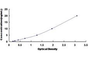 Typical standard curve (SLC17A7 ELISA Kit)