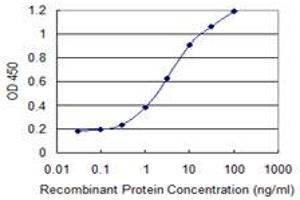Detection limit for recombinant GST tagged PHF7 is 0. (PHF7 antibody  (AA 258-357))