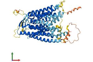 AlphaFold protein structure predicition of Mouse Recombinant Slc15a3 Protein, UniprotID Q8BPX9 (SLC15A3 Protein (AA 1-578) (His tag))