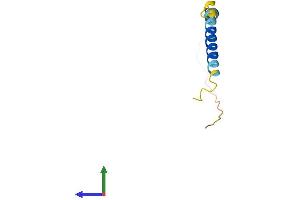 Protein Structure (PS) image for WW Domain Binding Protein 5 (WBP5) (AA 1-104) protein (His tag) (ABIN7545151)