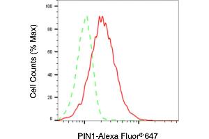 Flow cytometric analysis of PIN1 expression in HAP-1 cells using PIN1 antibody (ABIN7799762), 1:2,000). (PIN1 antibody)