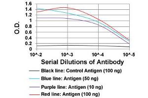 ELISA analysis of CTNNBL1 monoclonal antibody, clone 1E4F5  at 1:10000 dilution. (CTNNBL1 antibody  (AA 390-557))