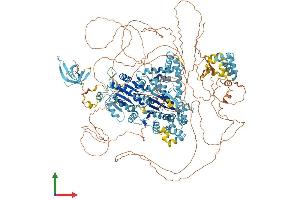AlphaFold protein structure predicition of Mouse Recombinant Ercc6l2 Protein, UniprotID Q9JIM3 (ERCC6L2 Protein (AA 1-1537) (His tag))