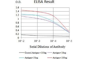 Black line: Control Antigen (100 ng),Purple line: Antigen (10 ng), Blue line: Antigen (50 ng), Red line:Antigen (100 ng) (TIM3 antibody  (AA 224-301))