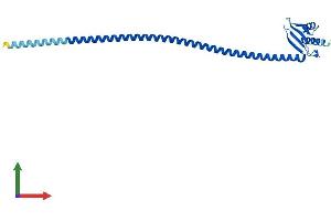 AlphaFold protein structure predicition of Mouse Recombinant Spc25 Protein, UniprotID Q3UA16
