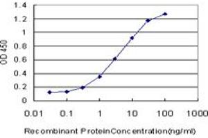 Detection limit for recombinant GST tagged LDB3 is approximately 0. (LIM Domain Binding 3 Protein antibody  (AA 1-283))