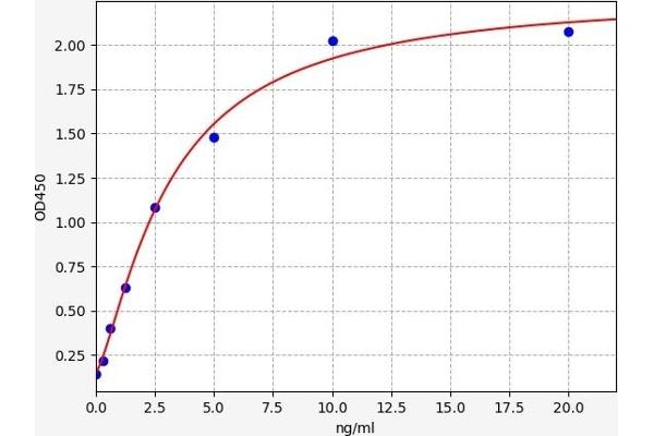 SASH1 ELISA Kit