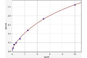 Collagen, Type XIV, alpha 1 (COL14A1) ELISA Kit