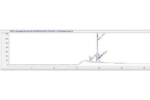 Image no. 1 for Hepcidin Antimicrobial Peptide (HAMP) peptide (Ovalbumin) (ABIN5666216) (Hepcidin Antimicrobial Peptide (HAMP) peptide (Ovalbumin))