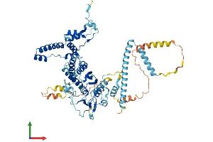Protein Structure (PS) image for Pescadillo Ribosomal Biogenesis Factor 1 (PES1) (AA 1-584) protein (His tag) (ABIN7561392)