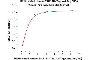ELISA image for Thymic Stromal Lymphopoietin (TSLP) (AA 29-159) (Active) protein (His tag,AVI tag,Biotin) (ABIN7457999)