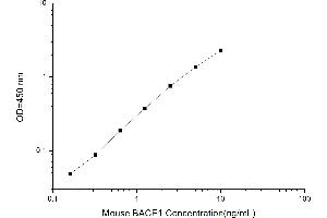 Typical standard curve (BACE1 ELISA Kit)