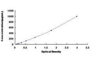 ELISA image for Cardiac Troponin T (cTnT) ELISA Kit (ABIN1169668) (Cardiac Troponin T2 ELISA Kit)