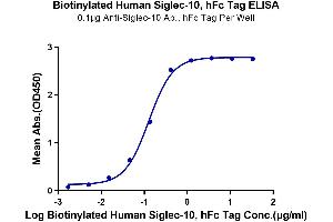 Immobilized Anti-Siglec-10 Ab. (SIGLEC10 Protein (Fc-Avi Tag,Biotin))