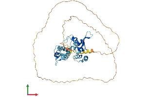 AlphaFold protein structure predicition of Human Recombinant MAGEB6 Protein, UniprotID Q8N7X4 (MAGEB6 Protein (AA 1-407) (His tag))